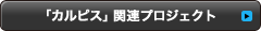 カルピス関連プロジェクト