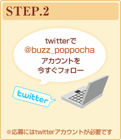 STEP.2　twitterで@buzz_poppochaアカウントを今すぐフォロー