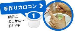 手作りカロコン