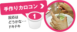 手作りカロコン