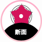 断面