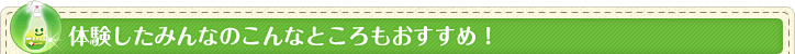 体験したみんなのこんなところもおすすめ!