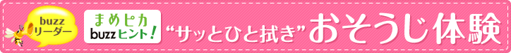 buzzリーダー まめピカ buzzヒント！“サッとひと拭き”おそうじ体験