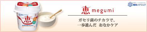 恵 megumiヘッダー