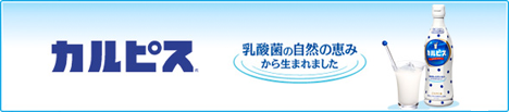 「カルピス」ヘッダー