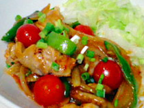 鶏肉の干焼蝦仁ソース