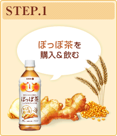 STEP.1　ぽっぽ茶を購入＆飲む