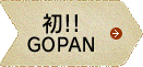 初！GOPAN